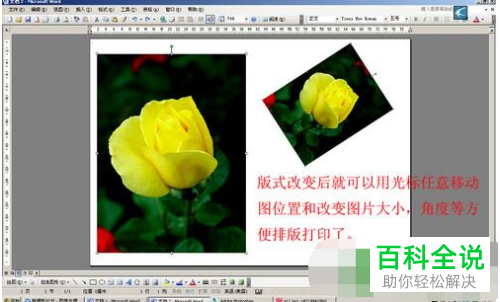 如何用打印机打印照片