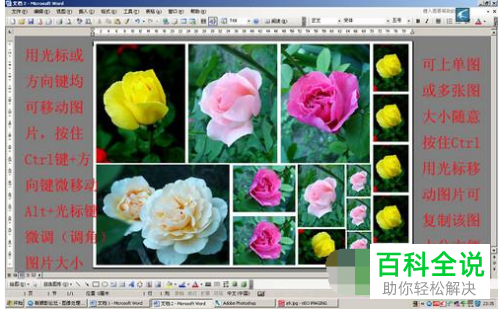 如何用打印机打印照片