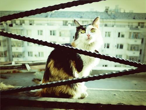 如何用美图秀秀打造春季时尚LOMO调效果