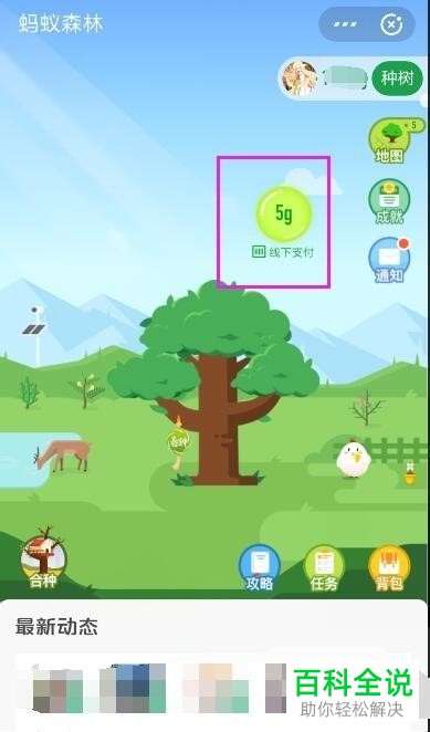 如何在蚂蚁森林中使用时光加速器?