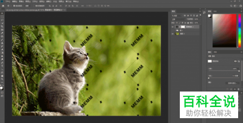 如何在PS中给图片添加水印