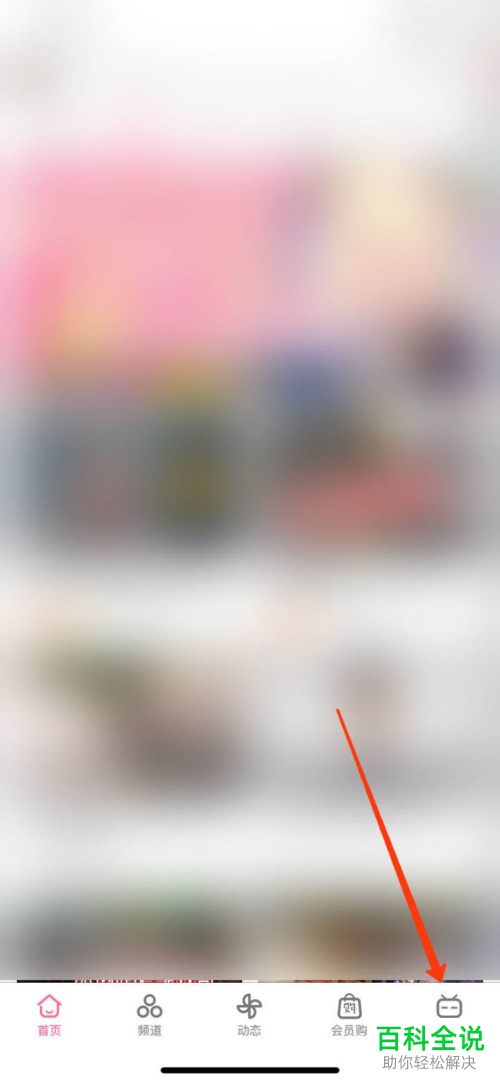 如何在手机版哔哩哔哩中解决黑屏和花屏的问题