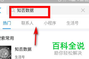 如何在支付宝中查看大数据