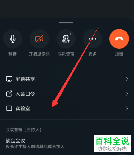 如何在钉钉的视频会议中设置开启噪声抑制