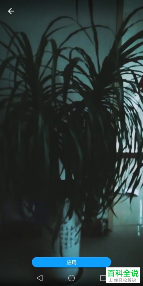 如何在抖音app中将自己的视频作品应用为手机动态壁纸？