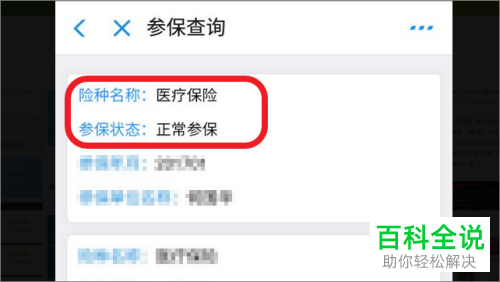 如何在手机支付宝上查询农村医保的参保情况