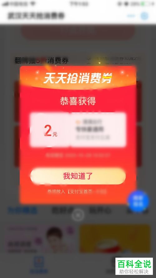 如何在支付宝领取武汉消费券