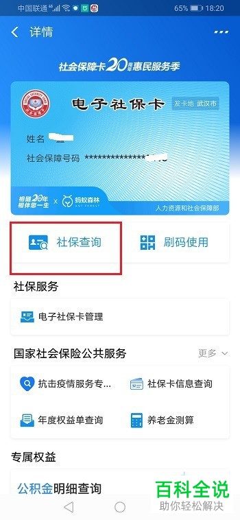 如何在支付宝中查询养老账户的余额