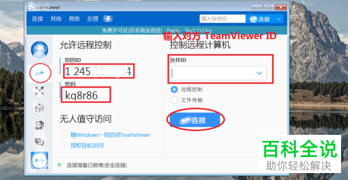 如何在Windows上使用TeamViewer？
