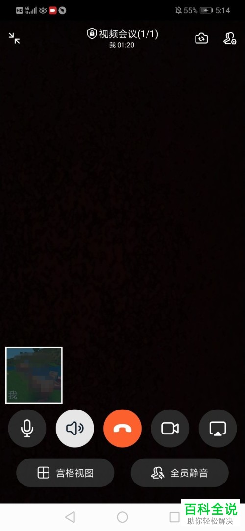 如何在钉钉视频会议中设置只看TA一个人