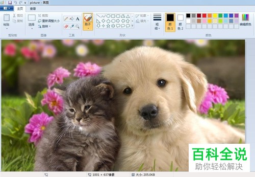 如何在画图工具中进行图片剪裁?