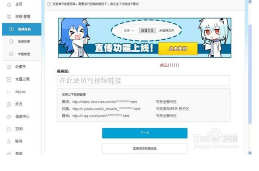 如何在B站(哔哩哔哩网站)上直传投稿