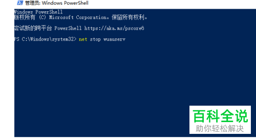 如何在win10系统中解决无法成功更新的问题