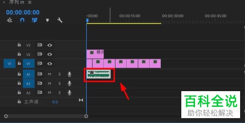 如何在PR软件中快速复制音频