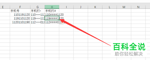 如何在电脑版Excel中打码隐私数字