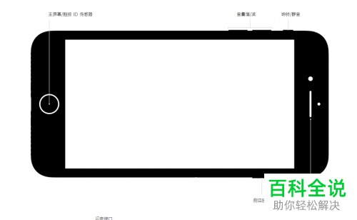 如何在iPhone苹果手机中解决白屏无法开机的问题