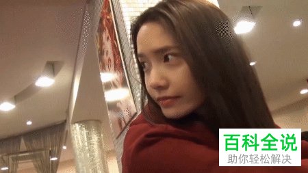 如何在PR软件中导出GIF动图