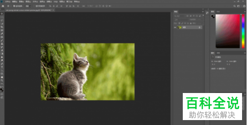 如何在PS中给图片添加水印