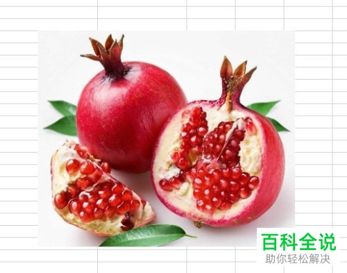 如何在excel2019中添加图片的边框