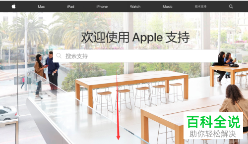 如何在苹果官网查看序列号IMEI?