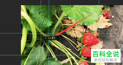 如何在photoshop中将标尺工具调出