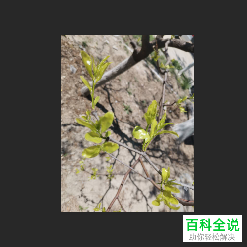 如何在PS中调清晰图片中的阴影部分