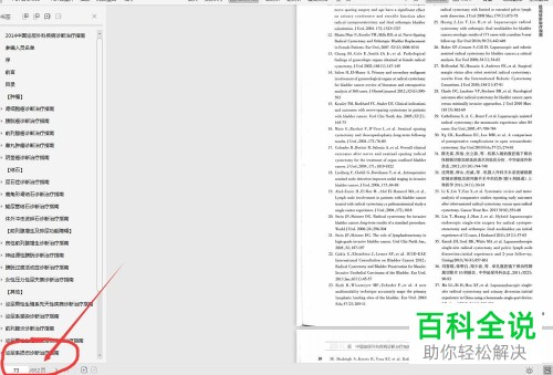 如何在PDF文件中选择双面打印其中的几页