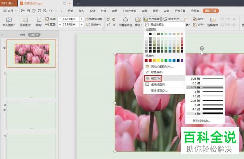 如何在PPT文档中插入图片并添加描边