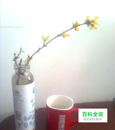 如何自制创意花盆