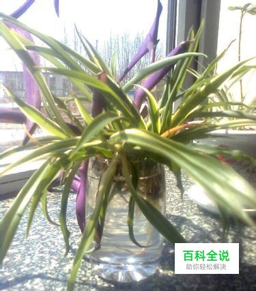 如何自制创意花盆