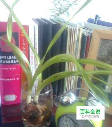 如何自制创意花盆