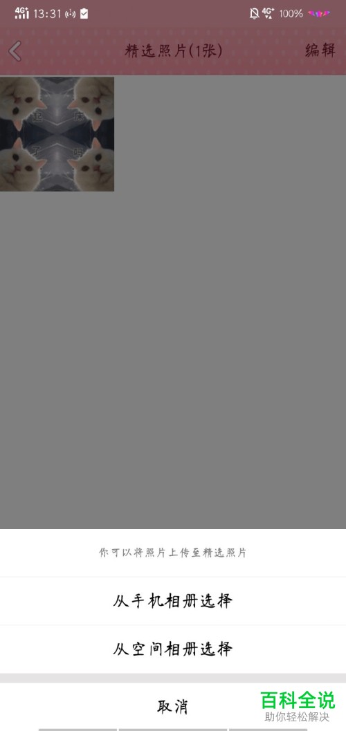 如何在我的资料里添加照片？