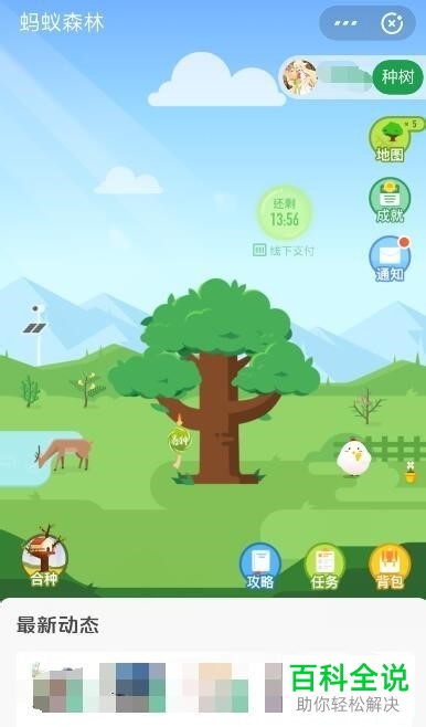 如何在蚂蚁森林中使用时光加速器?