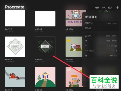 如何在Procreate创建自定义画布与删除作品