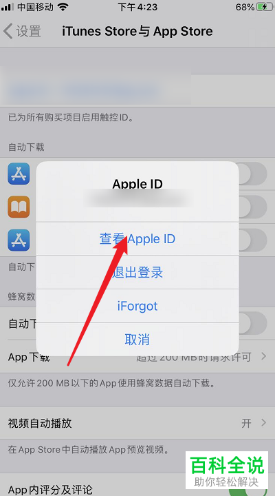 如何在苹果手机中添加APP store的付款方式