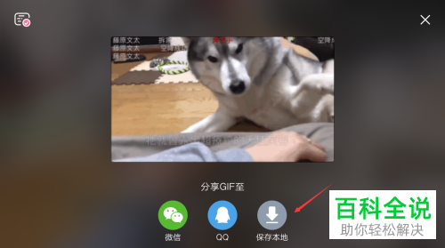 如何在手机B站哔哩哔哩中截GIF动图