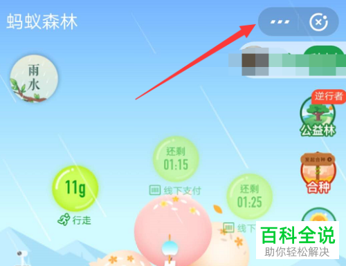 如何在支付宝中开启蚂蚁森林的能量收取提醒通知