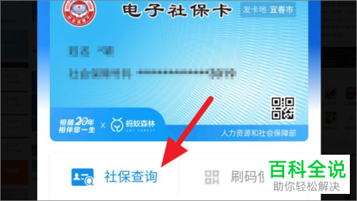 如何在手机支付宝上查询农村医保的参保情况