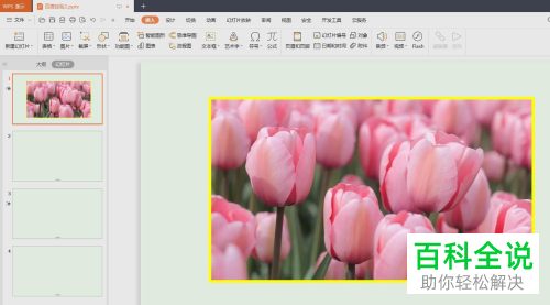 如何在PPT文档中插入图片并添加描边