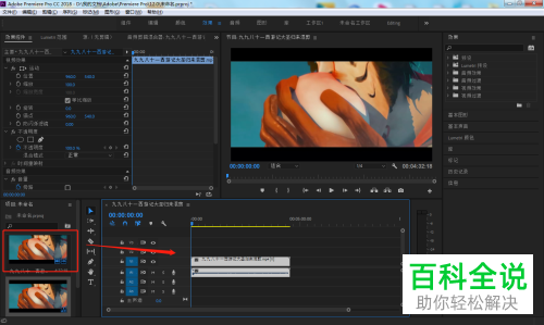 如何在电脑版PR中为视频添加噪点杂色