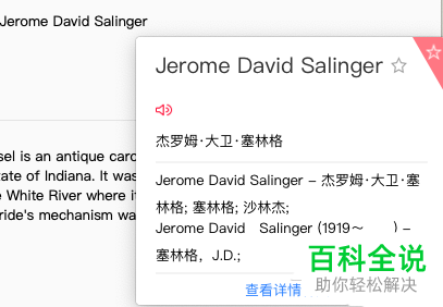 如何在Mac苹果笔记本中使用网易有道词典?