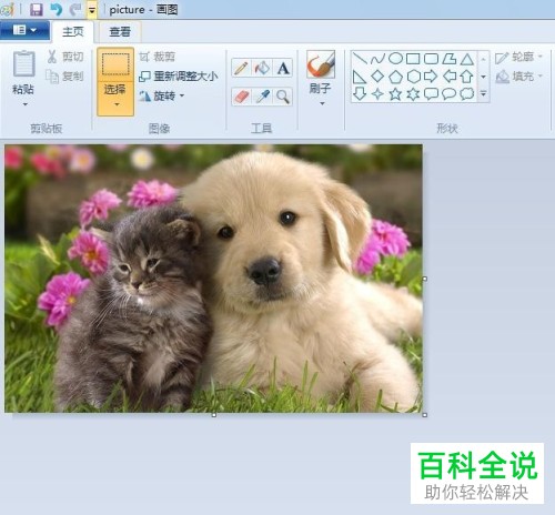 如何在画图工具中进行图片剪裁?