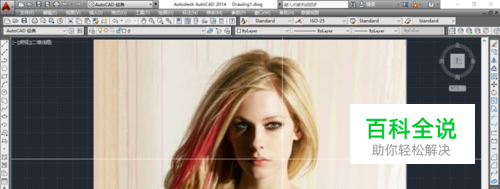 如何在CAD中插入图片？