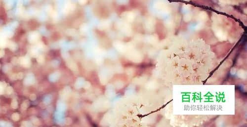 如何在PS中将喜欢的图片填充到文字中