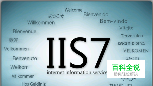 如何在Windows Server 2008中安装IIS