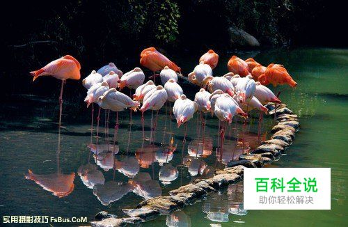 如何在拍摄中掌握正确的曝光