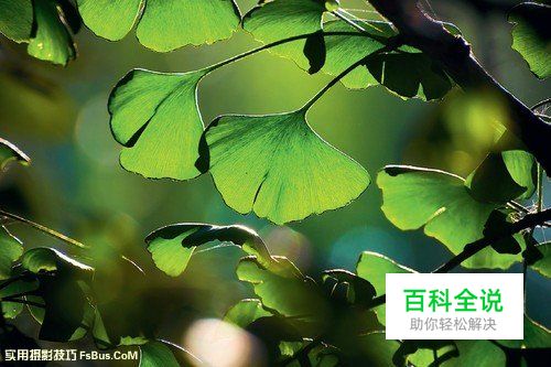 如何在拍摄中掌握正确的曝光