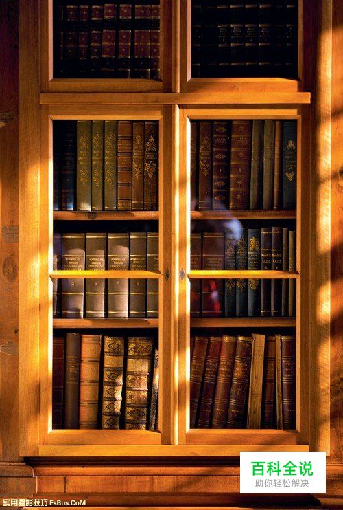 如何在拍摄中掌握正确的曝光