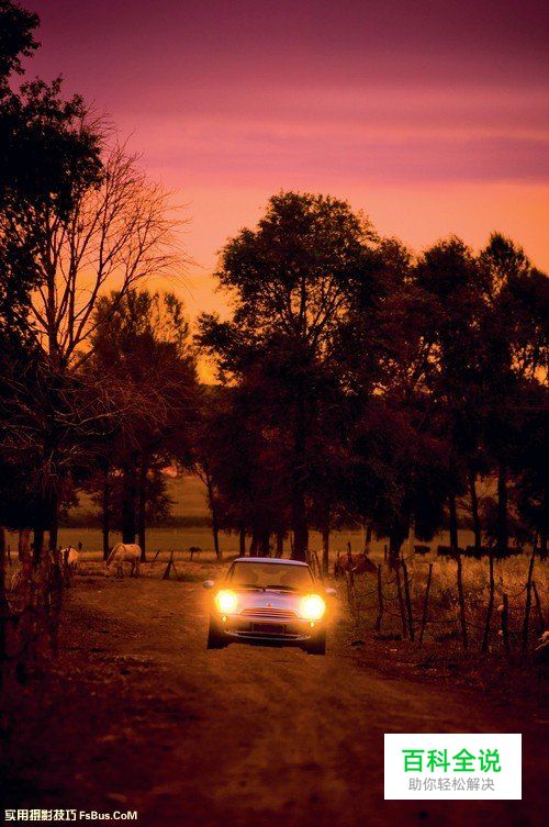 如何在拍摄中掌握正确的曝光