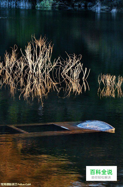 如何在拍摄中掌握正确的曝光